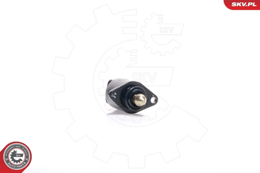 Idle Control Valve, air supply